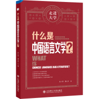 音像什么是中国语言文学?赵小琪,谭元亨