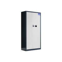 利特莱依保密柜财务档案柜文件柜办公室资料储物柜保险柜电子密码国保锁通体灰框白门-国保指纹锁