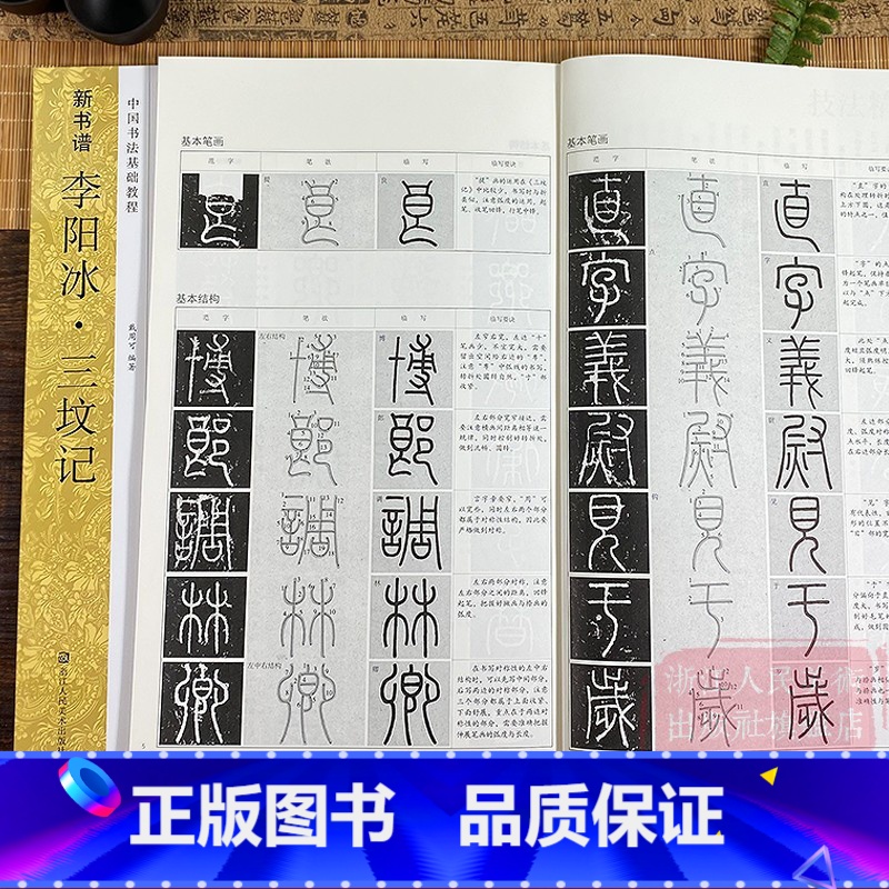 李阳冰三坟记 [正版]李阳冰三坟记 新书谱中国书法基础教程 高清原碑帖/基本笔画/基本结构/偏旁部首/简体旁注 成人初学