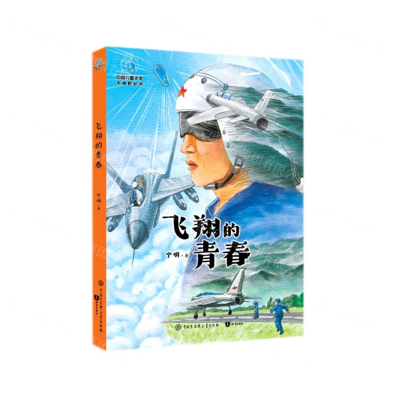 [N]飞翔的青春/中国儿童文学大视野丛书-9787520210607