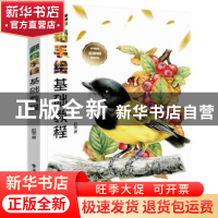 正版 彩铅手绘基础教程 赵莹 电子工业出版社 9787121404931 书籍