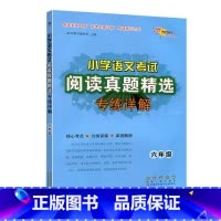 6年级语文真题精选 小学通用 [正版]小学语文考试阅读数学应用题真题精选专练详解3三4四5五6六年级文言文古诗词专项训练