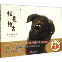 音像我是帕古(日)金泽麻由子 著;江洁 译