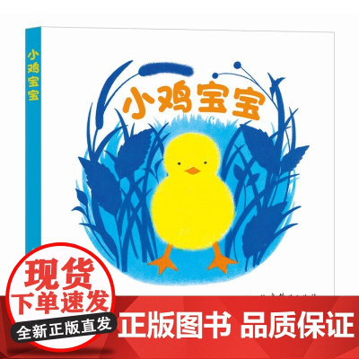 小鸡宝宝