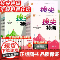 2025秋版小学拔尖特训一年级二年级三四五六年级语文数学英语上册人教版全套小学生同步训练练习册北师苏教版译林版课时作业本