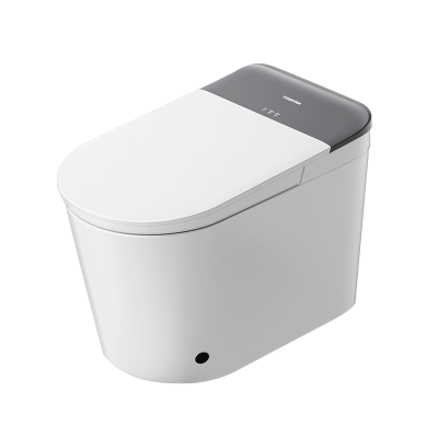 东芝小海豚promax智能马桶家用全自动脚感翻盖即热一体坐便器S415-305