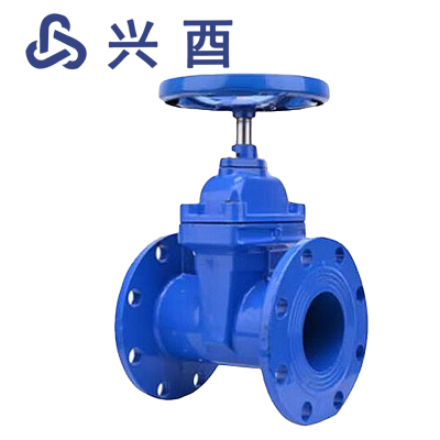 兴酉 法兰软密封暗杆闸阀 DN65 个