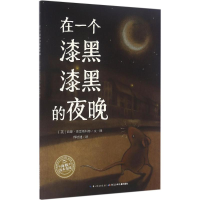 [M]在一个漆黑漆黑的夜晚-9787556041992