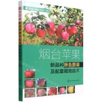 [N]烟台苹果新品种原色图谱及配套栽培技术-9787122409638