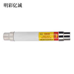 明彩亿诚 熔断器 XRNT-10/12 Φ51*360mm 6.3A 根