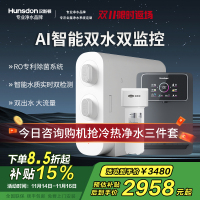 汉斯顿/Hunsdon[国家补贴]净水器家用厨下式净水机家用直饮净水器C2净水器家用无桶双水大流量过滤器净水器