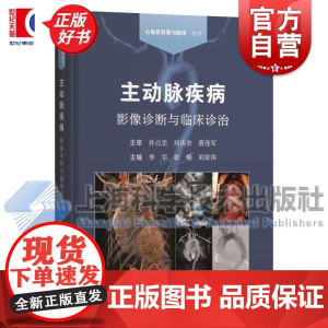 主动脉疾病影像诊断与临床诊治 心血管影像与临床丛书李宇张楠刘家祎主编上海科学技术出版社影像医学正版图书籍
