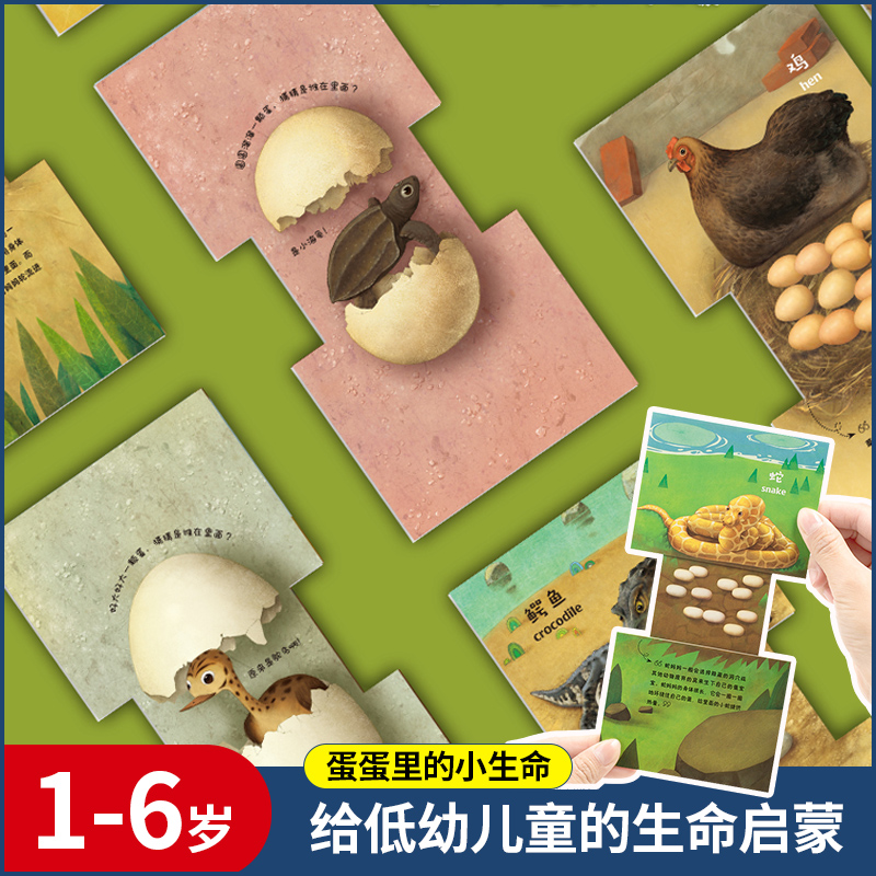 [正版图书]纸贵满堂 拉拉卡 蛋蛋里的小生命动物卡片早教认知卡幼儿