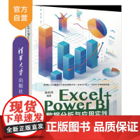 [正版新书]Excel+Power BI数据分析与应用实践 翁东风 清华大学出版社 数据分析
