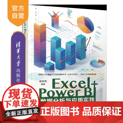 [正版新书]Excel+Power BI数据分析与应用实践 翁东风 清华大学出版社 数据分析