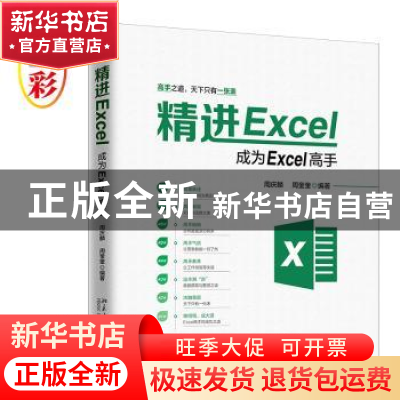 正版 精进Excel(成为Excel高手) 周庆麟,周奎奎 北京大学出版社 9