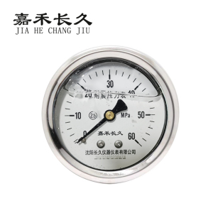 嘉禾长久 耐震压力表轴向检测定制型 YTN60Z 块