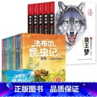 [全套15册]狼王梦+法布尔昆虫记 [正版]狼王梦沈石溪全套5册动物小说全集画本小学生三年级四五六年级课外阅读书籍注音漫