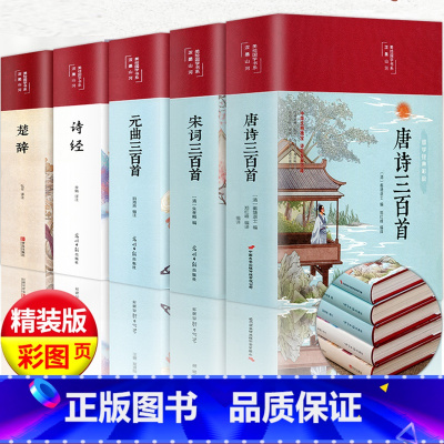 [正版]布面精装 中国古诗词全集 唐诗三百首全集 宋词300首元曲诗经楚辞原著鉴赏辞典初高中学生唐诗宋词注解赏析书籍