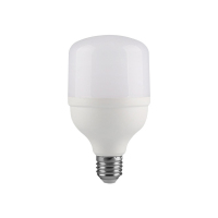 亿维顿 LED灯泡E27螺口 5W 个
