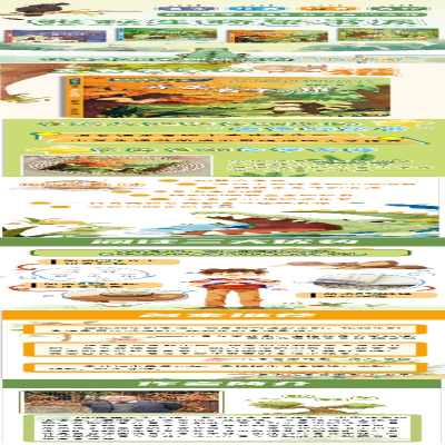 [M]弄丢名字的獾 张秋生 著 -9787532788231