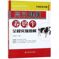 正版新书]高效健康养奶牛全程实操图解张效生9787109235496