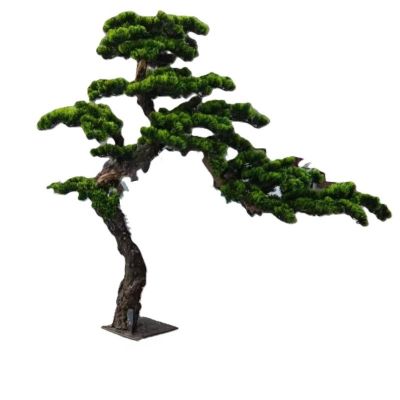 诚智旺 迎客松 YKS-1 /棵