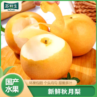 [苏鲜生]新鲜山东秋月梨 净重4.5斤 中果 7-9个 新鲜当季水果 现摘现发