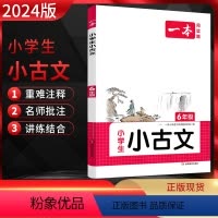 小古文 小学六年级 [正版]2024版 小学生小古诗6年级 全国通用版 小学语文六年级同步课内课外古诗词阅读练习专项拓展