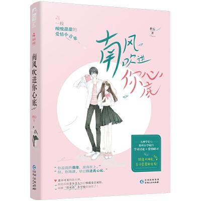 正版新书]南风吹进你心底檀心9787221153081