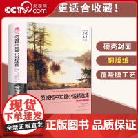 [央视网]茨维格中短篇小说精选集 名家名译中文全译本附注释 茨维格原著精装无删减 世界文学名著青少年中学生课外阅读3D