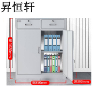 昇恒轩 二斗下节矮柜文件柜更衣储物铁柜柜子 SHX-0422 个(钢板厚度 0.9mm )