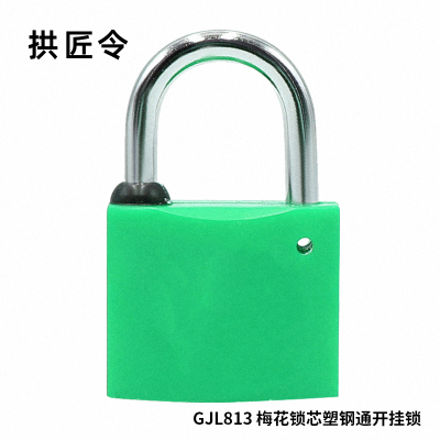 拱匠令 GJL813 梅花锁芯塑钢通开挂锁 塑钢 40*28*17.6mm(计价单位:个) 绿色