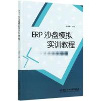 正版新书]ERP沙盘模拟实训教程编者:杨佩毅|责编:李慧智97875682