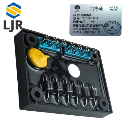 利冀尔 励磁模块 LJE - GX8813255 个