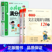 [全3册]小升初满分作文+古诗词+文言文阅读与训练120篇 小学升初中 [正版]小升初满分作文大全小学六年级小升初作文书