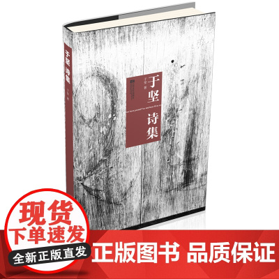 于坚诗集 于坚 江苏文艺出版社 正版书籍