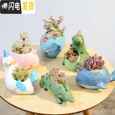 三维工匠zakka田园多肉花盆可爱卡通动物花盆鲸鱼花园派对创意小花盆套餐 花园派对一套6个配多肉配土+铺面石 小花盆容器