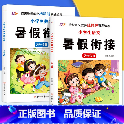 [2册]语文+数学 二升三 [正版]小学生二年级升三年级语文数学暑假衔接 人教版二年级下册作业同步练习册一日一练暑假作业