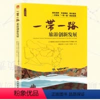 [正版]旅游规划指导"一带一路"旅游创新发展 一路带一路周边各省旅游局组编 丝绸之路新格局 65个国家旅游指标数据 旅