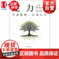 定力:正念投资,正念人生 杨峻著格致出版社经济学理论图书