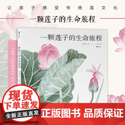 一颗莲子的生命旅程 白乌鸦奖文津图书奖 国画传统文化自然科普绘本 随书附赠大海报 后浪童书浪花朵朵正版