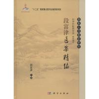 段富津医案精编