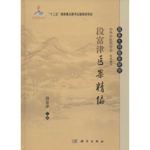 段富津医案精编
