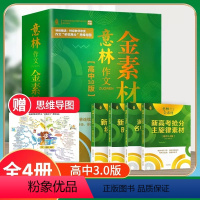 意林 金素材 高中作文3.0(全4册) 高中通用 [正版]全套4册 意林作文金素材 高中版3.0 随赠高效笔记思维导图