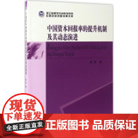 中国资本回报率的提升机制及其动态演进