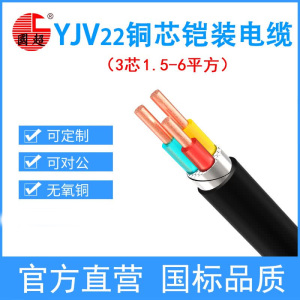 国超电缆 YJV22-0.6/1KV-3*1.5铜芯国标铠装户外地埋防老化3芯电力电缆1米[现货]