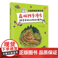 大自然的珍贵礼物—森林四季漫步 四季中的动物和植物