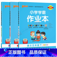语文数学英语3本[人教版] 五年级下 [正版]2025春适用3本套装pass绿卡小学学霸作业本五年级下册语文数学英语统编