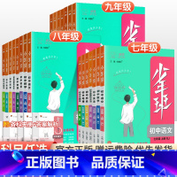 [人教版]语数英物化(5本) 九年级下 [正版]2024版少年班七八九年级上册下册语文数学英语物理化学政治历史地理生物人